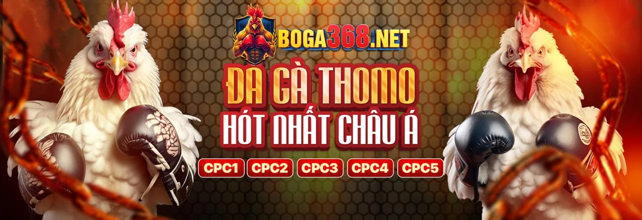 Đội ngũ hỗ trợ khách hàng chuyên nghiệp CMD368 Bet sẵn sàng phục vụ 24/7